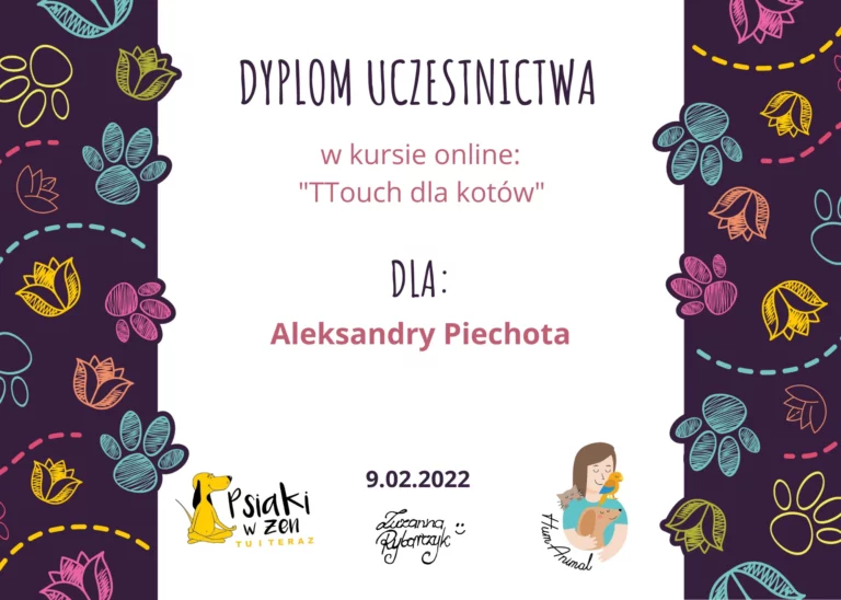 dyplom uczestnictwa w kursie TTouch dla kotów