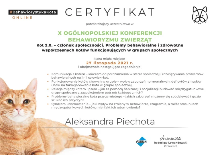 certyfikat uczestnictwa w X Ogólnopolskiej konferencji behawioryzmu zwierząt Kot 2.0