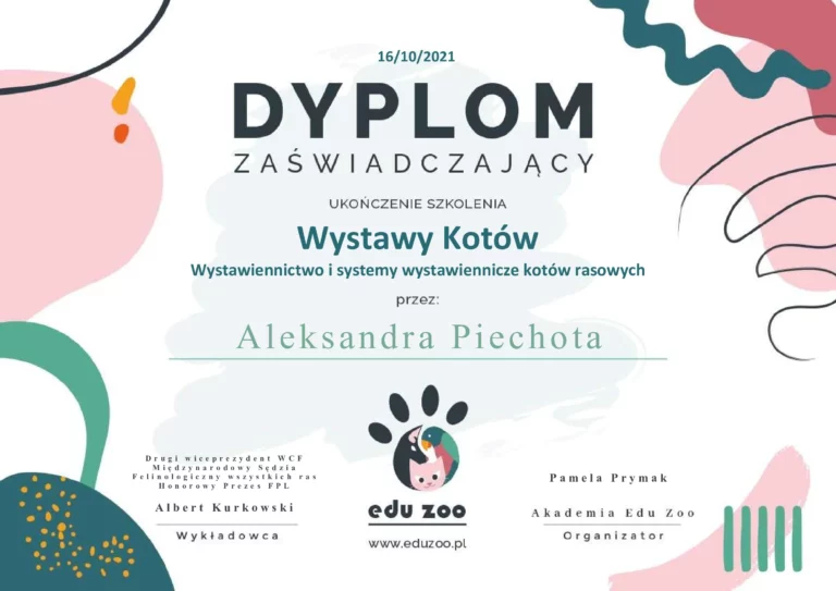 dyplom zaświadczający ukończenie szkolenia Wystawy kotów