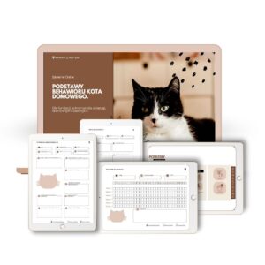 Podstawy behawioru kota domowego - dla wolontariuszy, fundacji i schronisk dla zwierząt, domów tymczasowych. SZKOLENIE ONLINE NA ŻYWO + BONUSY! DATA: 24.10.2025